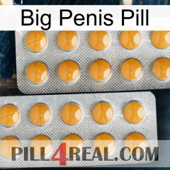 Big Penis Pill levitra2